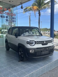 新型クロスビー試乗開始予定です！